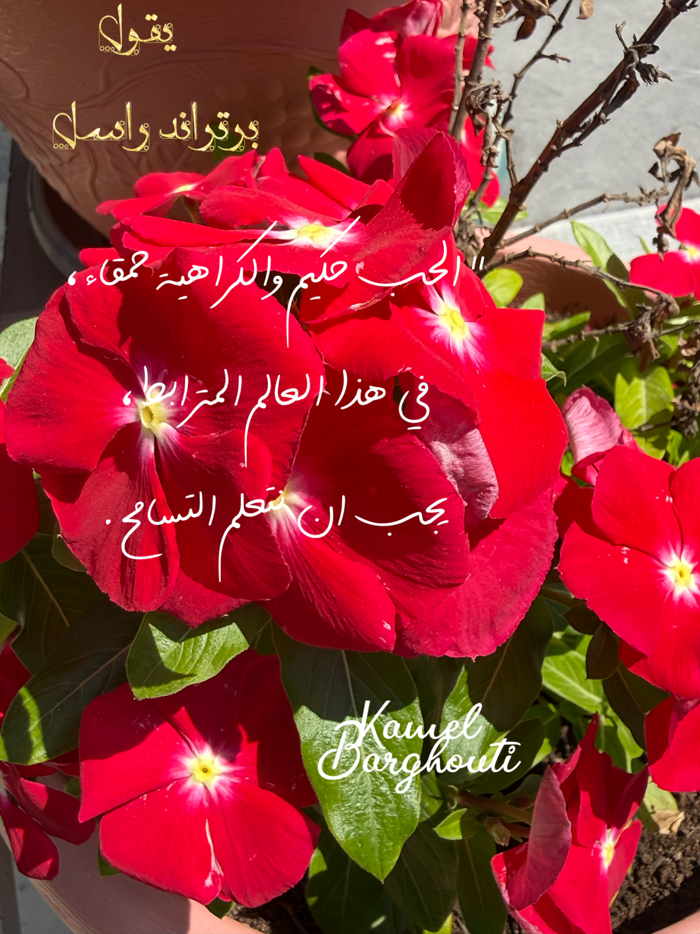 حب وحنين – اقتباس 8