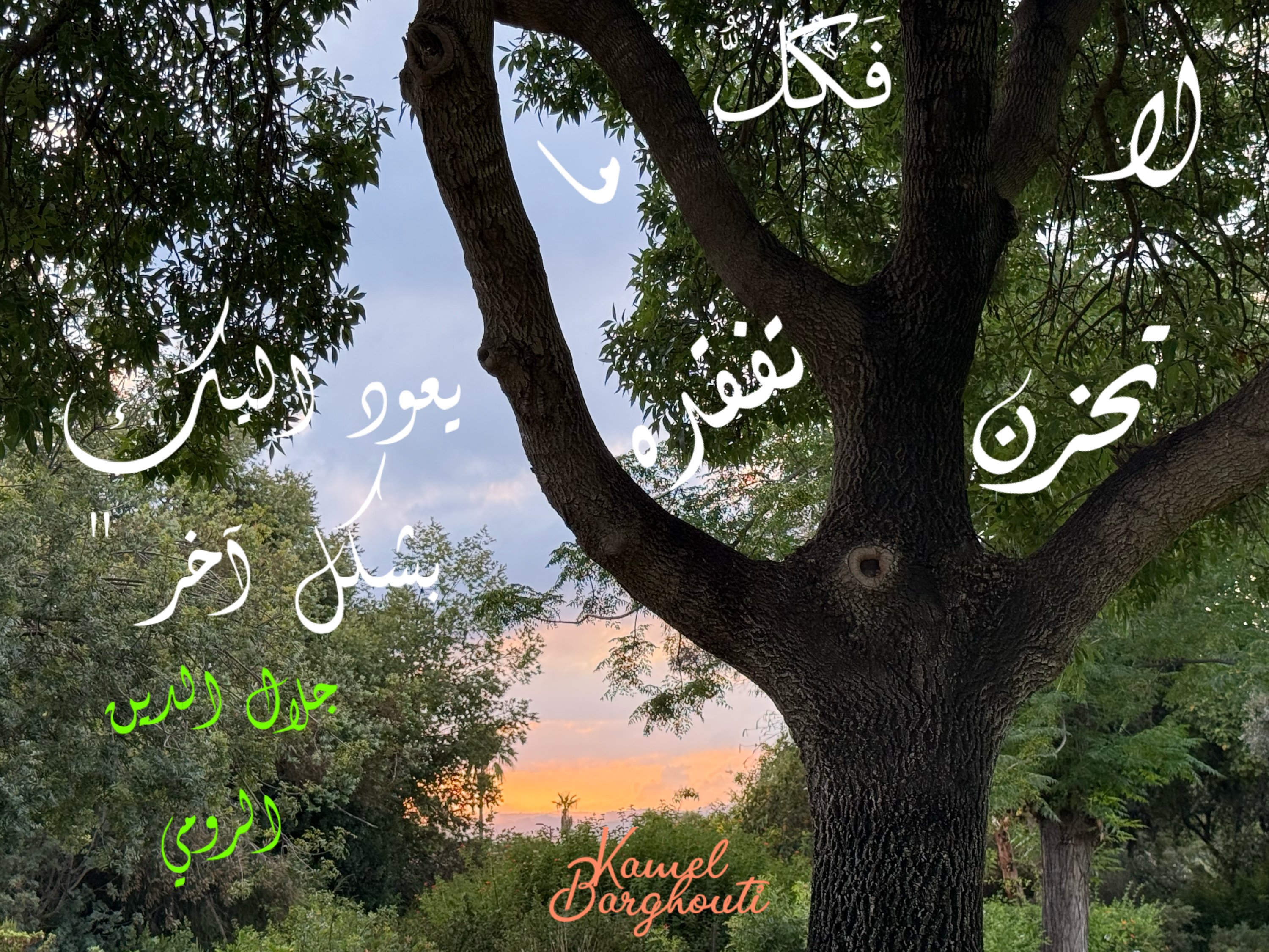 كلام جميل – اقتباس 3