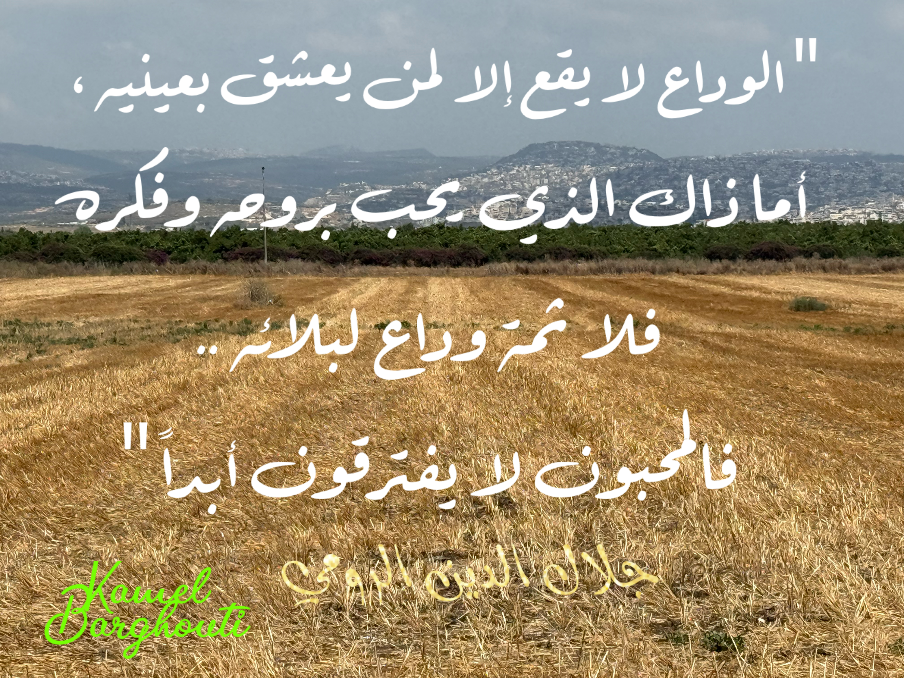 كلام جميل – اقتباس 2