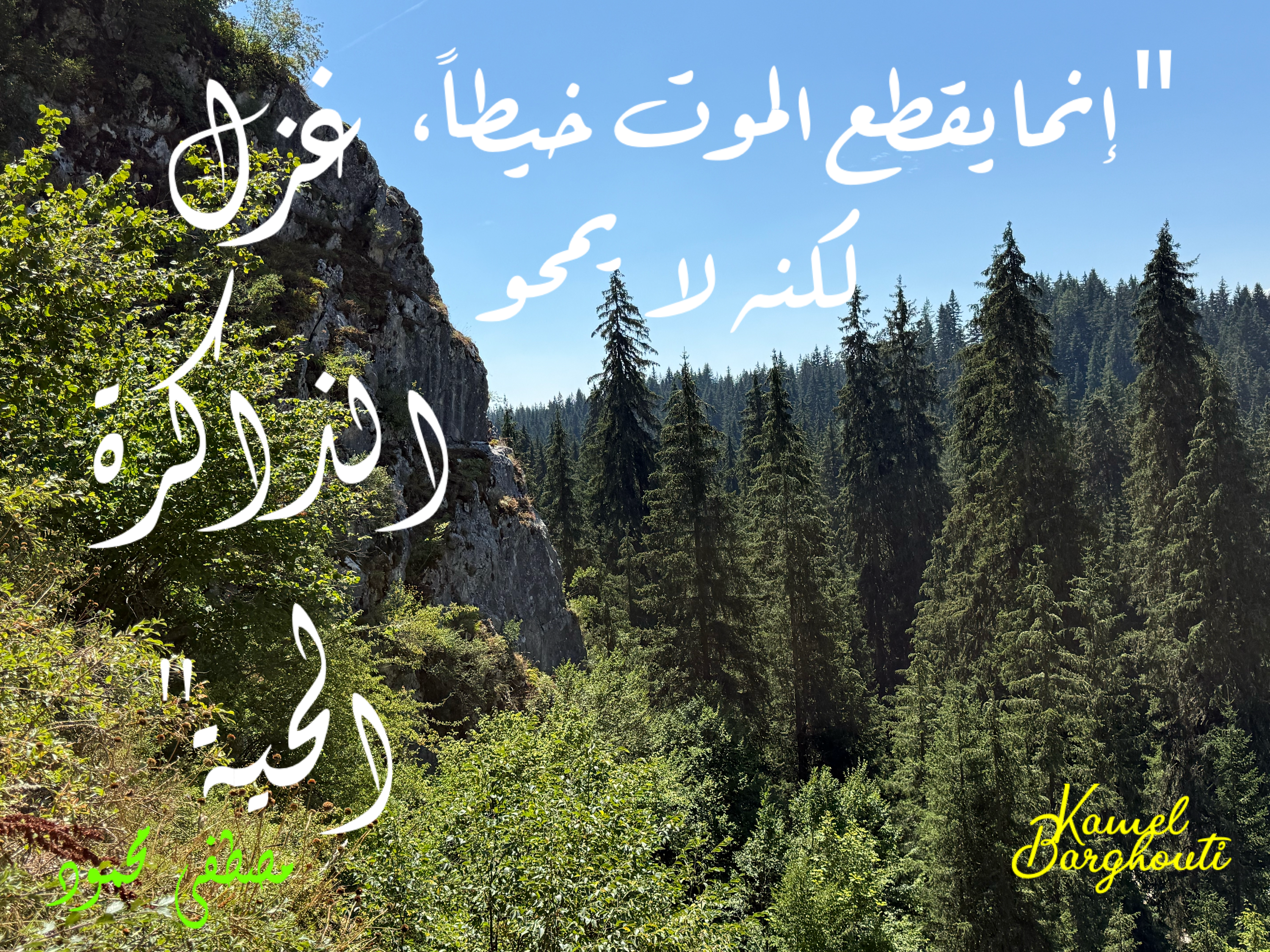 كلام جميل – اقتباس 1